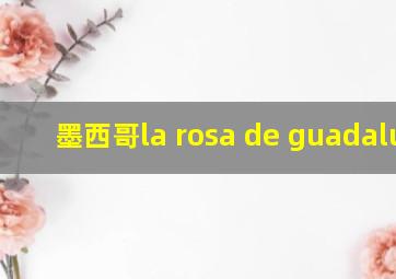 墨西哥la rosa de guadalupe